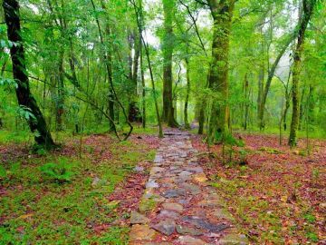 Amazing 2 Days Coorg Tour Package by HelloTravel In-House Experts