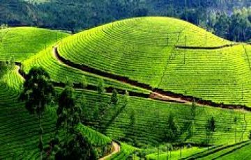 Experience 2 Days Coorg Tour Package by HelloTravel In-House Experts