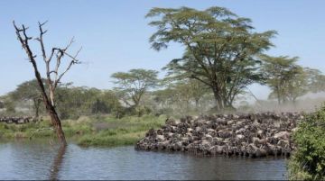 Family Getaway 5 Days Ngorongoro Conservation Area Luxury Holiday Package