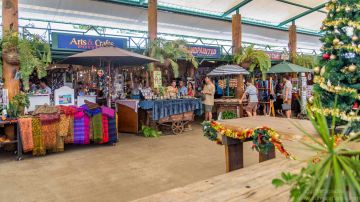 Cairns Tour Package for 4 Days 3 Nights