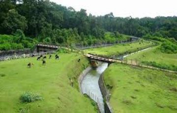 Experience 2 Days Coorg Vacation Package by HelloTravel In-House Experts