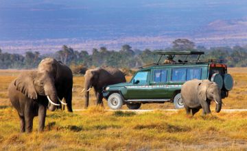 Ngorongoro Crater Wildlife Tour Package for 5 Days from Lake Manyara - Arusha - Kilimanjaro International Airport