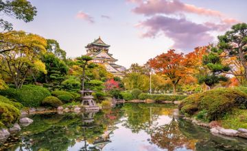 Magical Tokyo Friends Tour Package for 3 Days 2 Nights