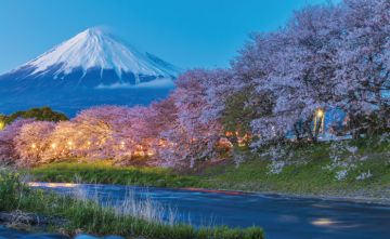 Ecstatic Tokyo Nature Tour Package for 3 Days from Osaka