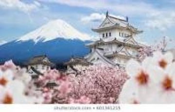 Family Getaway 8 Days 7 Nights Tokyo and Osaka Family Trip Package