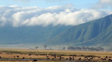 4 Days Lake Manyara - Arusha to Ngorongoro Crater Wildlife Vacation Package