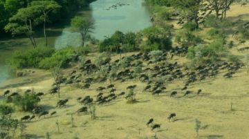 Beautiful 4 Days Arusha to Arusha Tanzania Wildlife Holiday Package