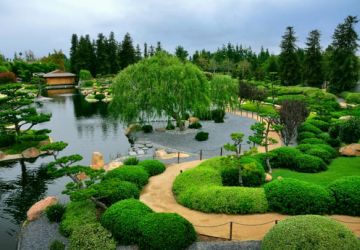 Pleasurable 4 Days 3 Nights Tokyo Friends Holiday Package