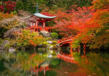 4 Days 3 Nights Kyoto Friends Tour Package