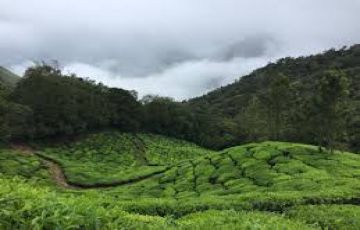 Amazing Munnar Tour Package for 3 Days