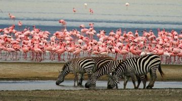 Best 5 Days Arusha to Lake Natron Holiday Package