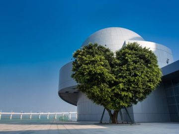 Heart-warming 6 Days Hongkong to Macau Nature Trip Package