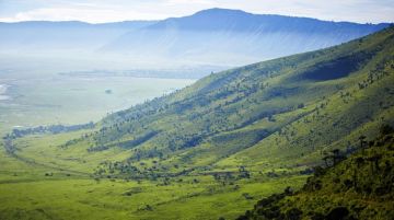 Amazing 7 Days Arusha to Serengeti National Park Trip Package