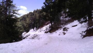 3 Days 2 Nights New Delhi to Shimla Tour Package