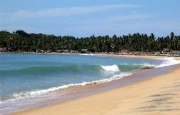 Heart-warming 3 Days Cochin to Alleppey Holiday Package