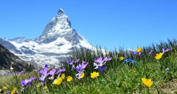 9 Days Zermatt to Zurich Trip Package