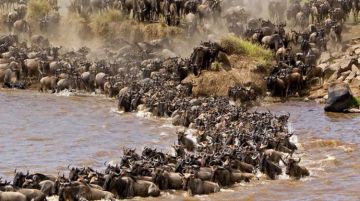 Heart-warming 8 Days Nairobi to Lake Nakuru Wildlife Holiday Package