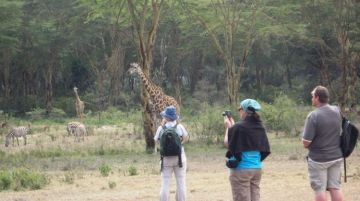 Best 3 Days Nairobi to Masaimara Wildlife Holiday Package