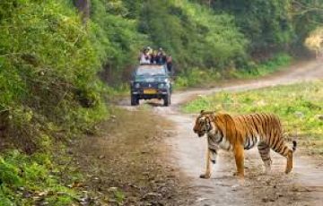 Family Getaway Jim Corbett Tour Package for 6 Days 5 Nights