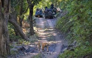 Heart-warming Corbett Tour Package for 6 Days 5 Nights