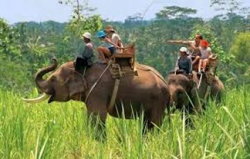 Corbett Tour Package for 6 Days 5 Nights