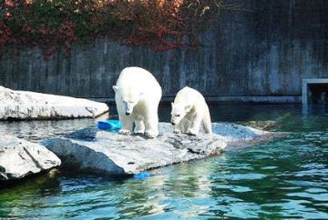 Beautiful 6 Days 5 Nights Munich Vacation Package