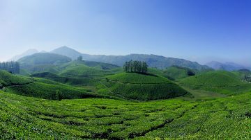 Ecstatic 4 Days 3 Nights Munnar with New Delhi Tour Package