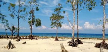 Pleasurable 4 Days Port Blair, North Bay, Neil Island with Havelock Island Vacation Package