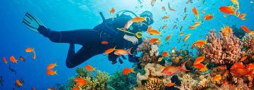 Experience 4 Days Havelock Island to Port Blair Tour Package