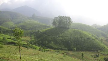Pleasurable 3 Days New Delhi to Munnar Vacation Package