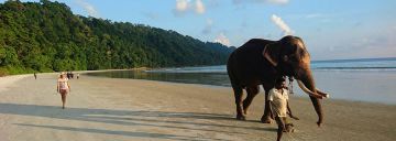 4 Days 3 Nights Port Blair, Havelock Island and Neil Island Holiday Package