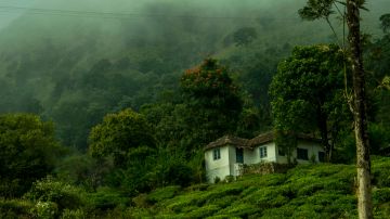 Amazing 4 Days 3 Nights Munnar with New Delhi Tour Package