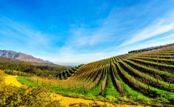 Heart-warming 4 Days Capetown Vacation Package