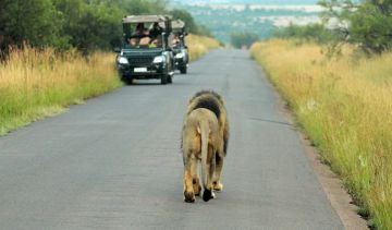 Pleasurable 4 Days Johannesburg and Kruger Holiday Package
