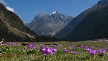 Beautiful 3 Days 2 Nights Lachung and New Delhi Tour Package
