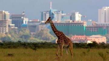 Heart-warming 2 Days 1 Night Nairobi Culture and Heritage Trip Package