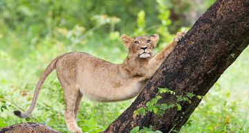 Pleasurable 4 Days Livingstone International Airport Vacation Package