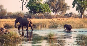 Heart-warming 7 Days Livingstone International Airport, Victoria Falls, Zambezi River with Hwange National Park Vacation Package