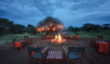 Memorable 3 Days Manyara and Kenya Nature Vacation Package