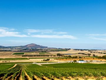 Memorable 5 Days 4 Nights Serengeti Trip Package