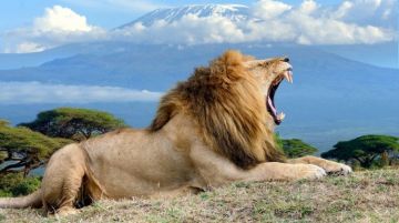Ecstatic 7 Days 6 Nights Masai Mara Game Reserve Friends Holiday Package