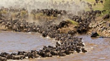 13 Days Aberdare National Park - Samburu Game Reserve Friends Tour Package