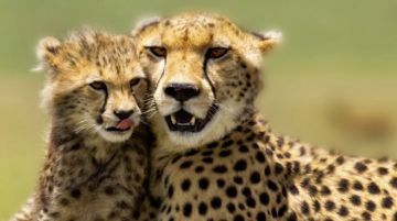 Lake Manyara National Park Friends Tour Package for 9 Days from Nairobi