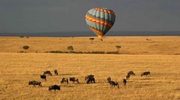 Beautiful 11 Days Nairobi to Nairobi Kenya Wildlife Holiday Package