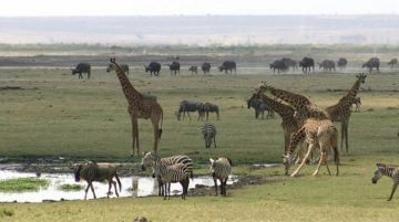 Memorable 9 Days 8 Nights Masai Mara National Reserve Vacation Package