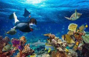 Lakshadweep 1nights and 2 days tour package