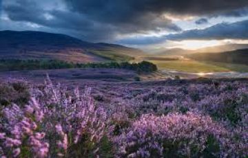 Ecstatic 3 Days Scotland Holiday Package