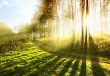 Best 2 Days 1 Night Coorg Vacation Package by Monika Tours And Travels