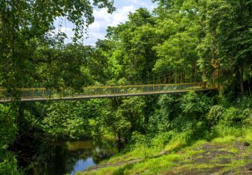 Heart-warming Coorg Tour Package for 2 Days 1 Night by Monika Tours And Travels