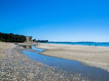 Best 3 Days Kaikoura Family Tour Package